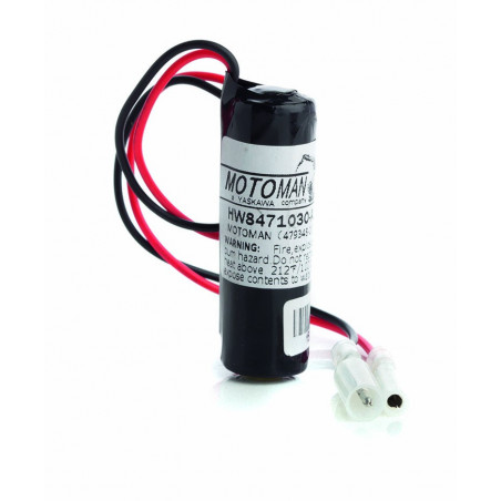 CHRONO Pile lithium ER14505 -3.6V - 2600mAh + Connecteur 