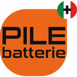 Batterie Origine - Equipement Technique PERMA-TEC - Alcalin - 4,5V
